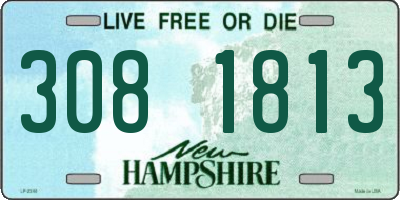 NH license plate 3081813