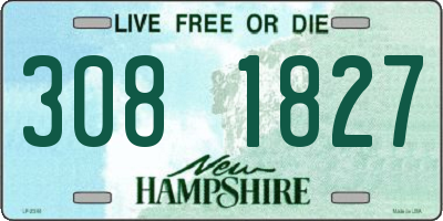 NH license plate 3081827
