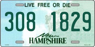NH license plate 3081829
