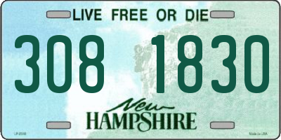 NH license plate 3081830