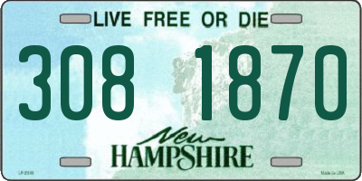 NH license plate 3081870