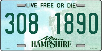 NH license plate 3081890