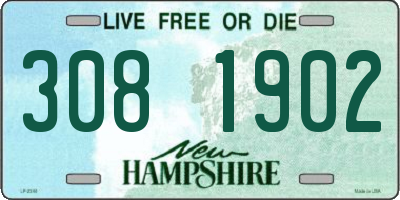 NH license plate 3081902