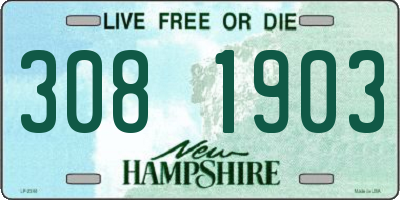 NH license plate 3081903