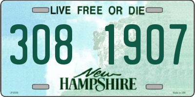 NH license plate 3081907