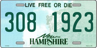 NH license plate 3081923