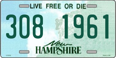 NH license plate 3081961