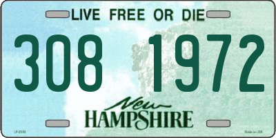 NH license plate 3081972