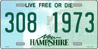 NH license plate 3081973