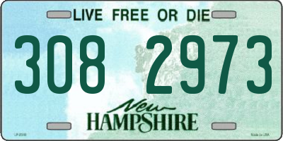 NH license plate 3082973