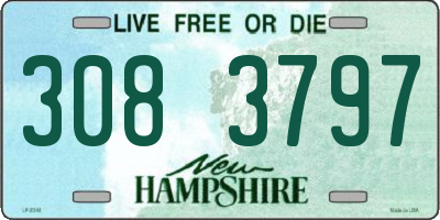 NH license plate 3083797