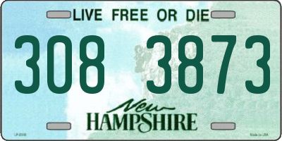 NH license plate 3083873