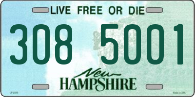 NH license plate 3085001