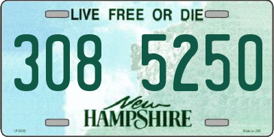 NH license plate 3085250