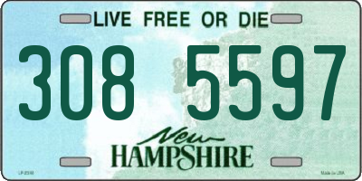 NH license plate 3085597