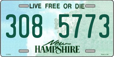 NH license plate 3085773