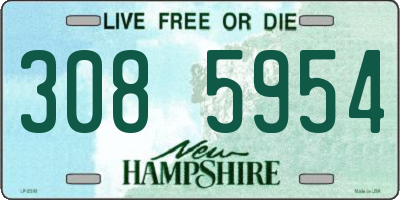 NH license plate 3085954