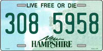 NH license plate 3085958