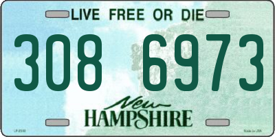 NH license plate 3086973