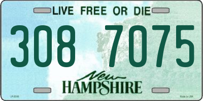 NH license plate 3087075