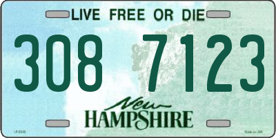 NH license plate 3087123