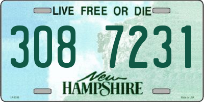NH license plate 3087231
