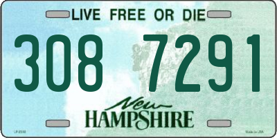 NH license plate 3087291