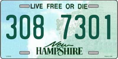 NH license plate 3087301