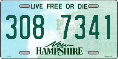 NH license plate 3087341
