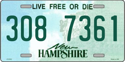 NH license plate 3087361