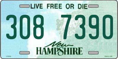 NH license plate 3087390