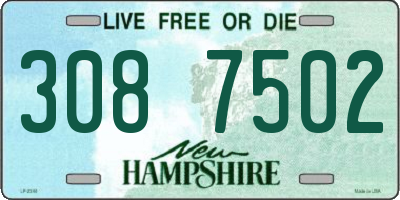 NH license plate 3087502