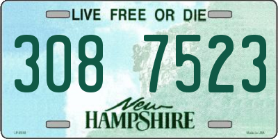 NH license plate 3087523