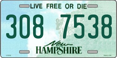 NH license plate 3087538