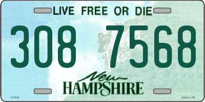 NH license plate 3087568