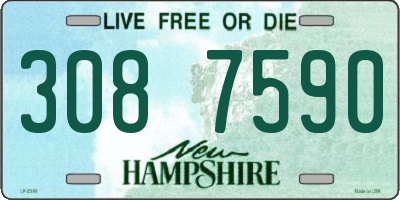 NH license plate 3087590