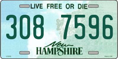 NH license plate 3087596