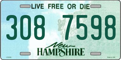 NH license plate 3087598