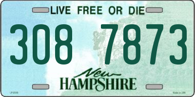 NH license plate 3087873