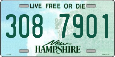 NH license plate 3087901