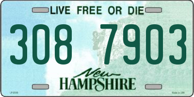 NH license plate 3087903