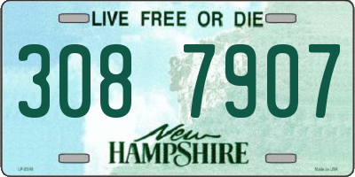 NH license plate 3087907