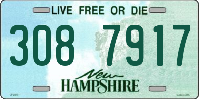 NH license plate 3087917