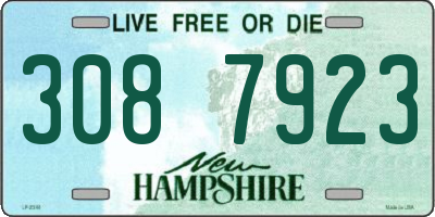NH license plate 3087923