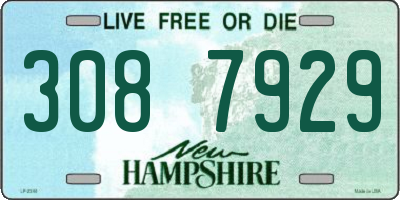 NH license plate 3087929