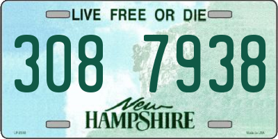 NH license plate 3087938