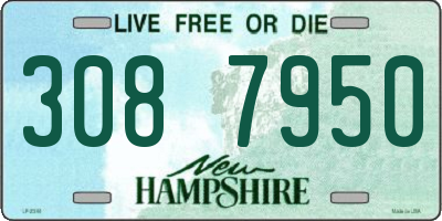 NH license plate 3087950