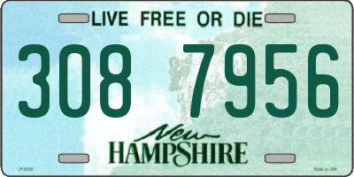 NH license plate 3087956