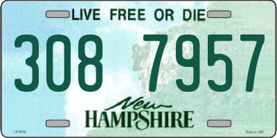 NH license plate 3087957