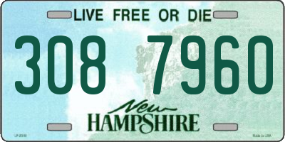 NH license plate 3087960